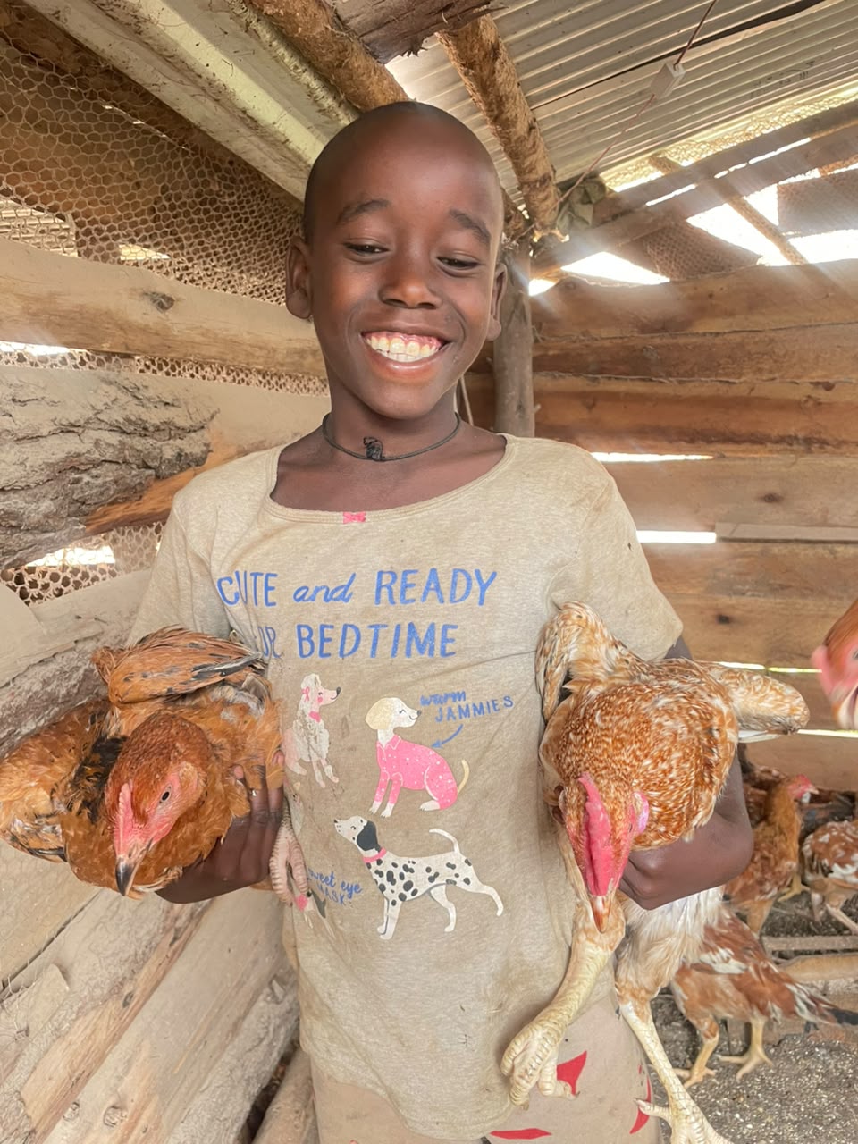 KCF chicken and poultry project